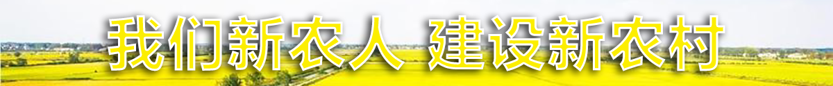 广告