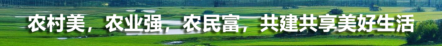 广告