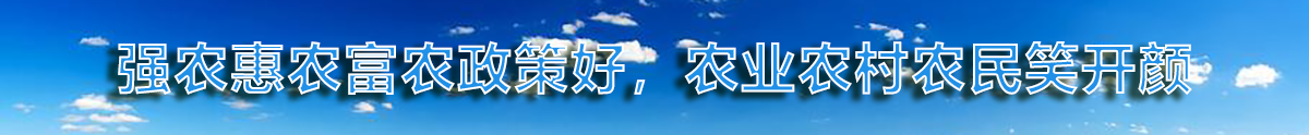 广告