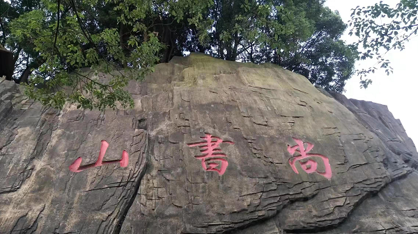 图片1
