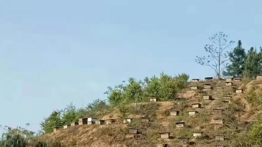 图片4