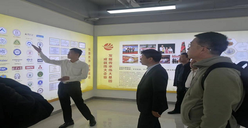 图片6