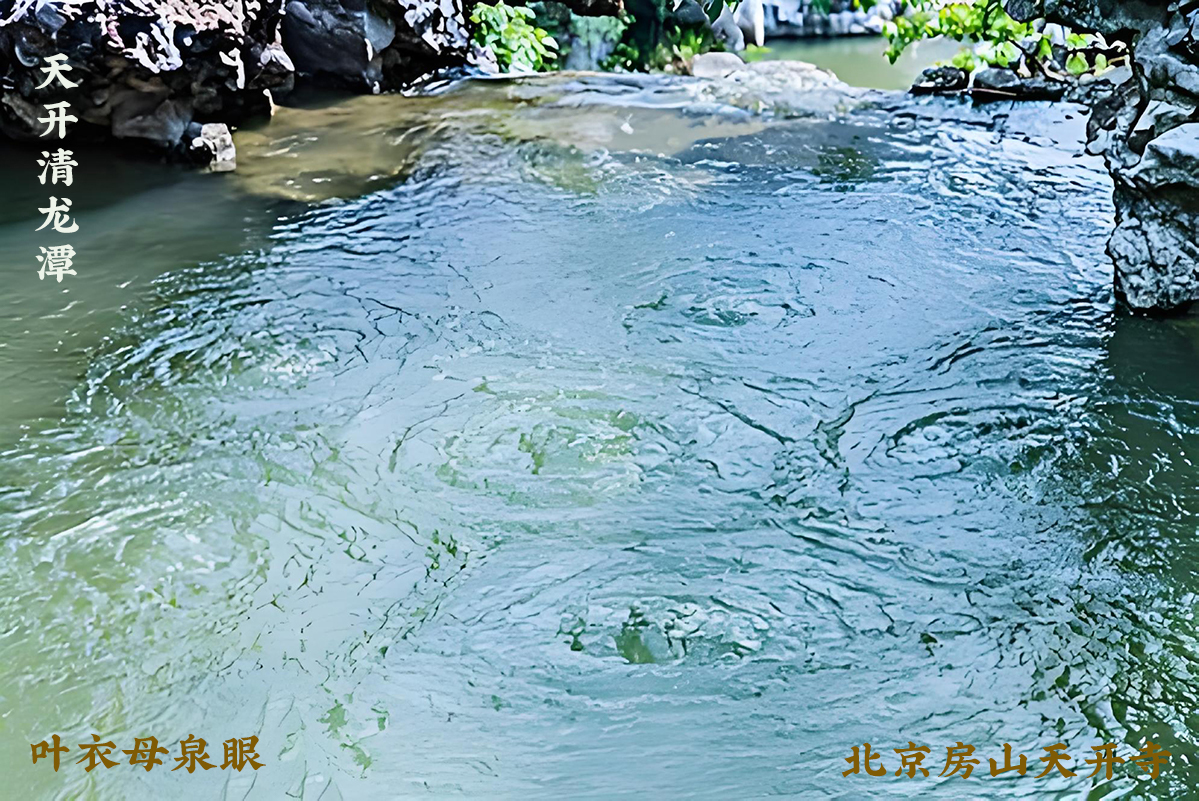 泉眼.jpg 泉眼.jpg