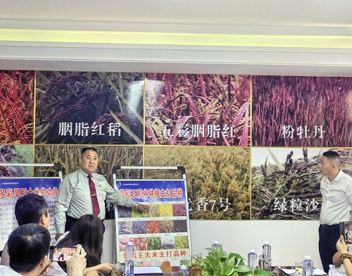 微信图片_20250527162934