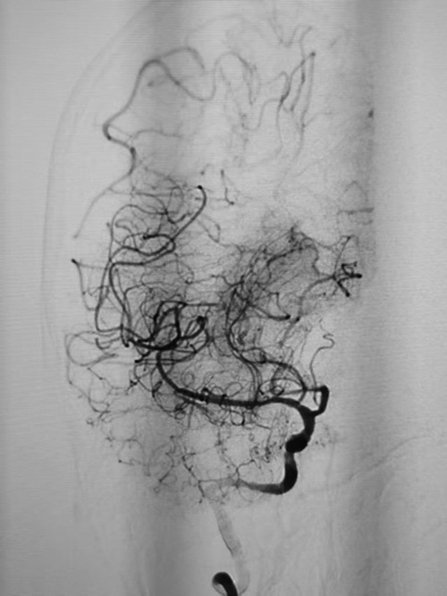 微信图片_2025-11-28_125003_750