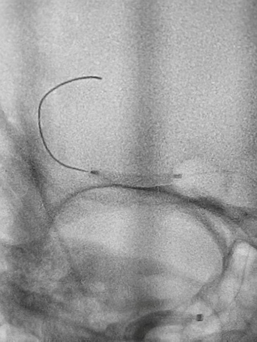 微信图片_2025-11-28_125007_732